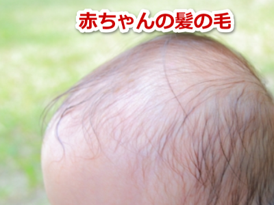 赤ちゃん 髪の毛